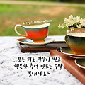 '출석 ' 글에 포함된 이미지