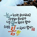 '출석합니다!' 글에 포함된 이미지