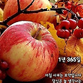 '출석합니다 ' 글에 포함된 이미지