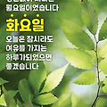 '출석합니다 ' 글에 포함된 이미지