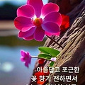 '출석합니다 ' 글에 포함된 이미지