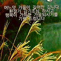 '' 글에 포함된 이미지