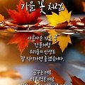 '출석합니다 ' 글에 포함된 이미지