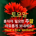 '출석합니다 ' 글에 포함된 이미지