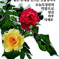 '오늘도 즐거운 하루 ' 글에 포함된 이미지