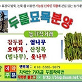 '안녕하세요 반갑습니' 글에 포함된 이미지