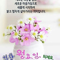 '출석합니다 ' 글에 포함된 이미지