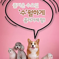 '출석합니다 ' 글에 포함된 이미지