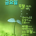'출석합니다 ' 글에 포함된 이미지