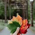 '출석합니다 ' 글에 포함된 이미지