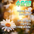 '출석합니다 ' 글에 포함된 이미지