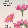 '출석합니다 ' 글에 포함된 이미지