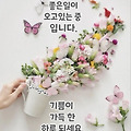 '출석합니다 ' 글에 포함된 이미지