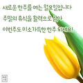'출석합니다 ' 글에 포함된 이미지
