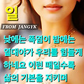 '출석합니다 ' 글에 포함된 이미지