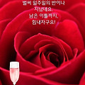 '출석합니다 ' 글에 포함된 이미지
