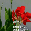 '하루를 아름답게' 글에 포함된 이미지