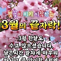 '어느덧 봄 전령사 3월' 글에 포함된 이미지