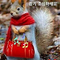 '출석합니다 ' 글에 포함된 이미지