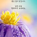 '출석합니다 ' 글에 포함된 이미지
