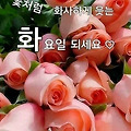 '출석합니다 ' 글에 포함된 이미지