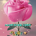 '출석합니다 ' 글에 포함된 이미지