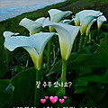 '' 글에 포함된 이미지