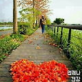 '   아침 인사' 글에 포함된 이미지
