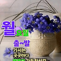 '출석합니다 ' 글에 포함된 이미지