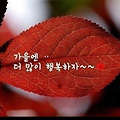 '출석합니다 ' 글에 포함된 이미지