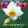 '벌써 금요일이네요.주' 글에 포함된 이미지