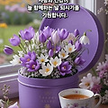 '출석합니다 ' 글에 포함된 이미지