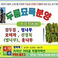'출석합니다' 글에 포함된 이미지