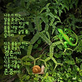 '출석합니다 ' 글에 포함된 이미지