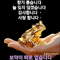 '출석합니다 ' 글에 포함된 이미지