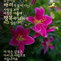 '출석합니다 ' 글에 포함된 이미지