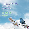'출석합니다 ' 글에 포함된 이미지