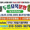 '출석합니다 오늘도 화' 글에 포함된 이미지