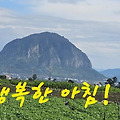 '출석합니다 ' 글에 포함된 이미지