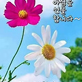 '출석합니다 ' 글에 포함된 이미지
