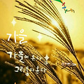 '출석합니다 ' 글에 포함된 이미지