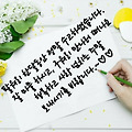 '출석합니다 ' 글에 포함된 이미지