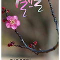 '출석합니다 ' 글에 포함된 이미지