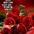 '출석합니다 ' 글에 포함된 이미지