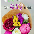 '출석 함니타' 글에 포함된 이미지