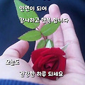 '출석합니다 ' 글에 포함된 이미지