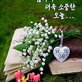 '출석합니다 ' 글에 포함된 이미지
