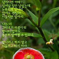 '출석합니다 ' 글에 포함된 이미지