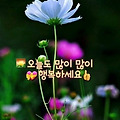 '출석합니다 ' 글에 포함된 이미지