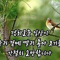 '평화로운  일상이' 글에 포함된 이미지